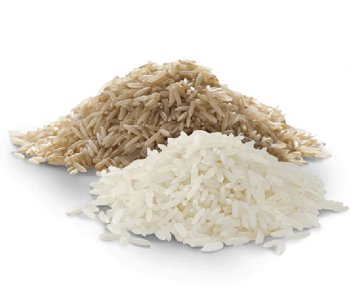 Organic Rice & Grains
